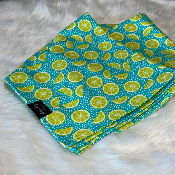 Snuggle Blanket